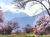 信仰拉萨，春上林芝 | 带父母西藏9日自驾游