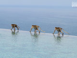 【重回世界之旅】-新加坡巴厘岛10日 沙滩骑骆驼 悬崖泳池 海景spa （全文完）
