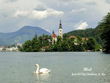 和你一起把风景都看透--拥抱斯洛文尼亚之夏（新增MV）