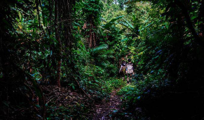 【我在金三角玩“铁三”】老挝琅南塔丛林探险之旅（自行车/徒步/皮划艇）