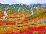 十月的日本中部，原来是寻秋的好地方（高山、白川乡、上高地、富山、立山黑部、松本）
