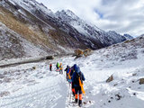 勒多曼因冰川轻装徒步4日高海拔活动