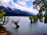 山山水水皆澄净—新西兰旅行记录（南岛篇1）