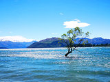 山山水水皆澄净—新西兰旅行记录（南岛篇3）