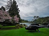 行摄新西兰——静谧奢华的胡卡庄园