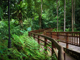 绿意盎然的新加坡｜自然爱好者必去之地