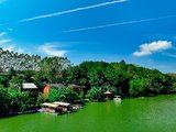 浦北越州寿仙湖：我心中的避暑圣地