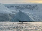 看世界重启第二站-阿根廷南极26日-2024年1月