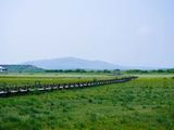四月的京北草原 | 清风、新绿与辽阔