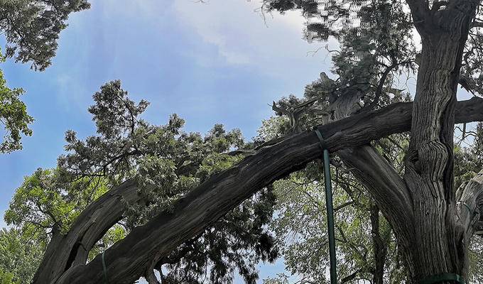 陕晋行---我们的退休首旅（波浪谷、雨岔大峡谷、壶口瀑布、王家大院、平遥古城、晋祠、云冈石窟、大同，非自驾含无人机信息）