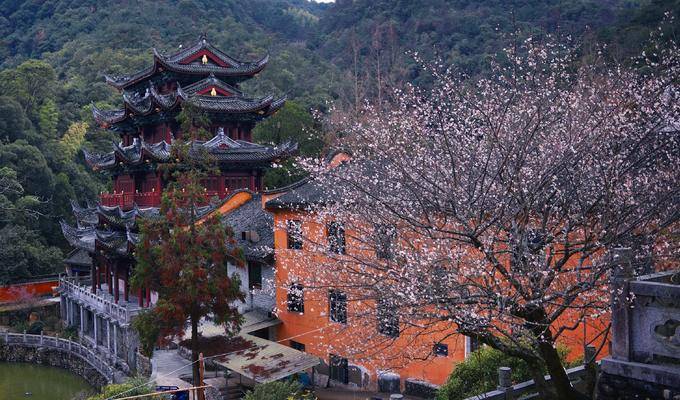 山水禅意，一眼千年，静待隋梅 | 天台临海行