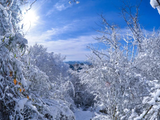 趁雪还未消融 再去一次朝天曾家山！