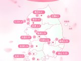 赏樱季—— 首尔和釜山（开花预告）