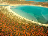 西澳最西密境：沙克湾，卡尔巴里，尖峰石阵探索发现之旅！