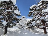 【小闺蜜，大旅行】绝境才有绝景：创纪录大雪里的栃木与福岛之冬