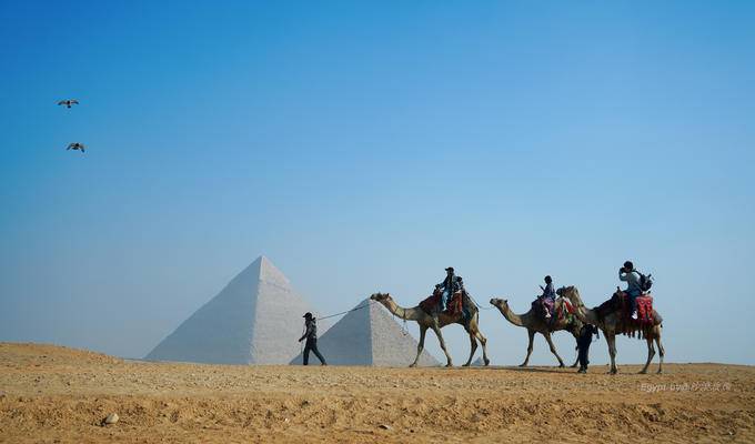 【玫瑰出品】穿越五千年黄沙来看你，16天埃及全景（全文完）