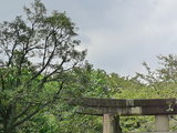 乌云背后的金边----与台风携手同行的东京+北海道9日家庭游