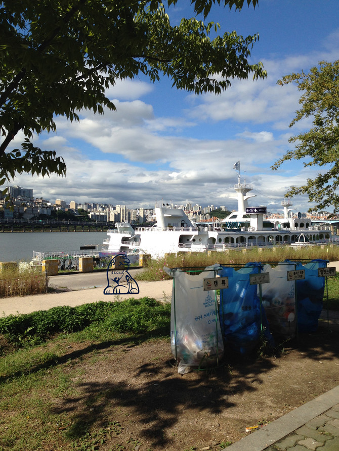 首尔新沙洞林荫道