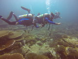 菲律宾PG岛5日6人潜水游