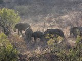 2013年9月15日南非8日游之约堡的比林斯堡野生动物保护区