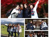 2013年的第二次日本行- 京都赏红叶