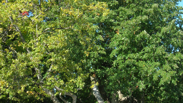 uraida玫瑰墓景点观光攻略_Turaida玫瑰墓地址