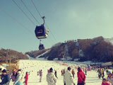 韩国滑雪HIGH翻了~土豪般的三姐妹滑雪之旅