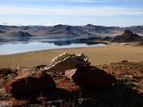 蒙古国西北部：荒芜之地的原生态【蒙古国西北部/ A Journey to North-west Mongolia】