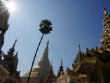 2014年春节缅甸9天游