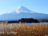 【琦妈影像游记】我们的完美假期:玩遍东京迪斯尼+对着富士山泡温泉(完结DSN/河口湖/东京