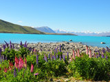 “我的环游世界梦”在新西兰享受最美的时光（春末夏初，奥克兰+南岛房车自驾）--超实用攻略篇+超详细行程篇，全文完！