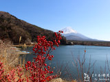 两个人的日本 7 天自助游，回顾动漫取景地，在富士山下泡温泉
