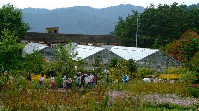 韩国自生植物园景点观光攻略 韩国自生植物园地址 韩国自生植物园门票查询预订 穷游网移动版