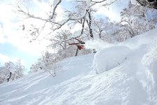 冬季滑雪！去北海道滑个痛快~！