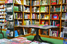 开普敦的书店大集合