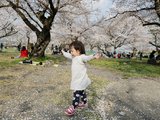 【爱在樱花季】带着未满2岁女儿的关西、下吕10日（提供各种带孩子旅行的信息）
