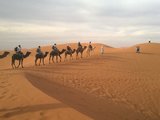 摩洛哥10日深度自驾游，撒哈拉沙漠骑骆驼