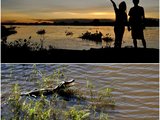 【巴西】Pantanal潘塔纳尔湿地【攻略】三日游