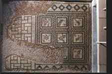 亚历山大港的特色建筑