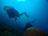 最美的不仅在海底——菲律宾PG岛潜水10日9谈【海图已完结】