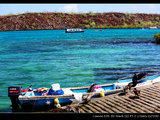 迟到了1年的游记：南美第一站-Galapagos