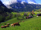 美如油画，瑞士10日完全自由蜜月行（美景、美食、徒步、滑雪、跳伞全攻略）