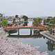 宇治市