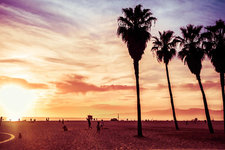 洛杉矶威尼斯海滩不可错过的五件事