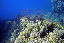 沙姆沙伊赫潜水圣地