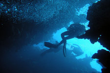 达哈卜五大潜水胜地