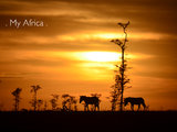 10月坦桑尼亚......桑吉巴尔--塞伦盖蒂--恩格罗恩格罗--坦噶尼喀湖（第二篇：非洲的青山）