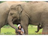 “象语者”公益之旅—泰国清迈大象自然公园（Elephant Nature Park）项目介绍（文字+图片+视频）陆续更新