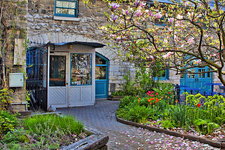 Kingston人气餐厅推荐