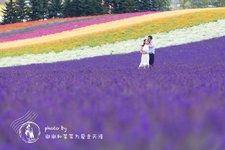 富良野美瑛8大小清新拍摄圣地